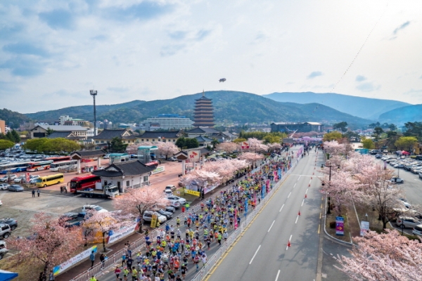 Kirschblütenfestival in Gyeongju 